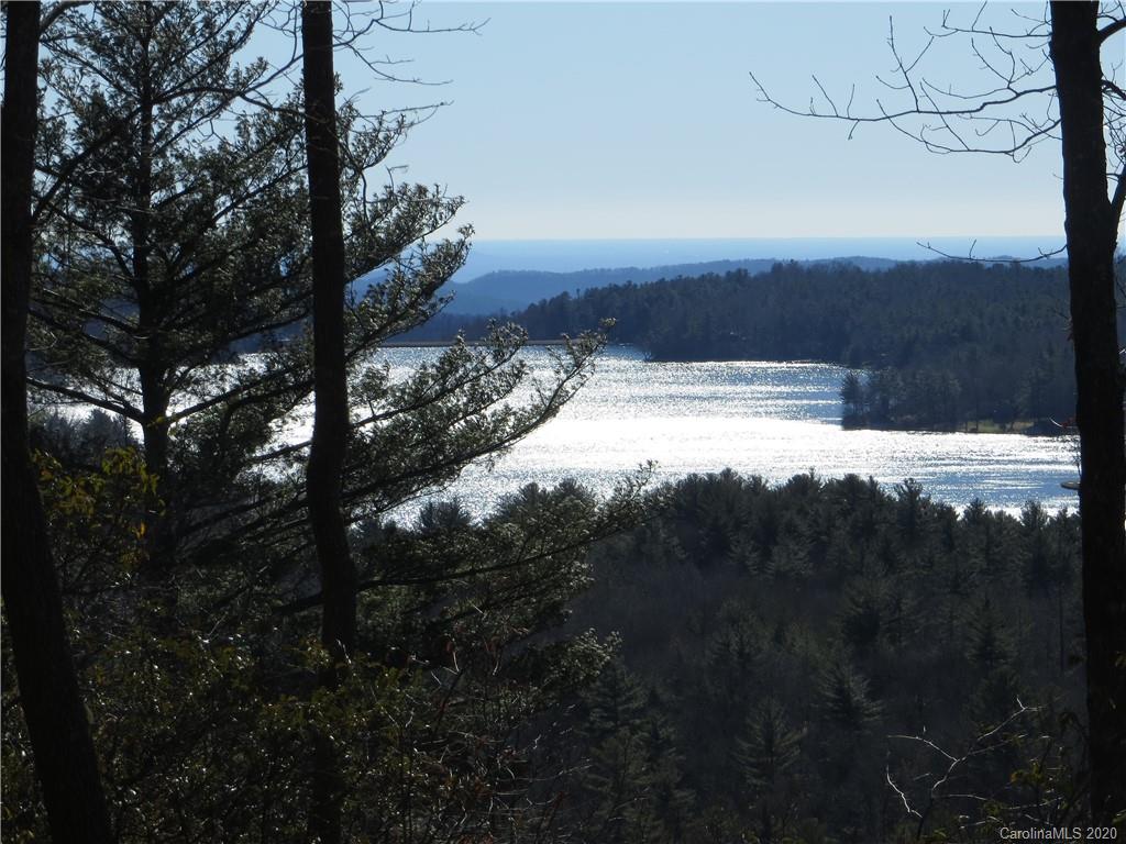 Lot 17 Panther Ridge Road, Unit PR17 Lake Toxaway, NC 28747 - Photo 3 of 35 Gallery Image 3