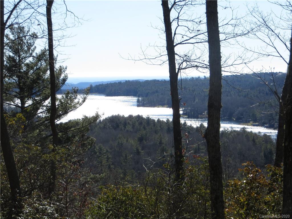 Lot 17 Panther Ridge Road, Unit PR17 Lake Toxaway, NC 28747 - Photo 4 of 35 Gallery Image 4