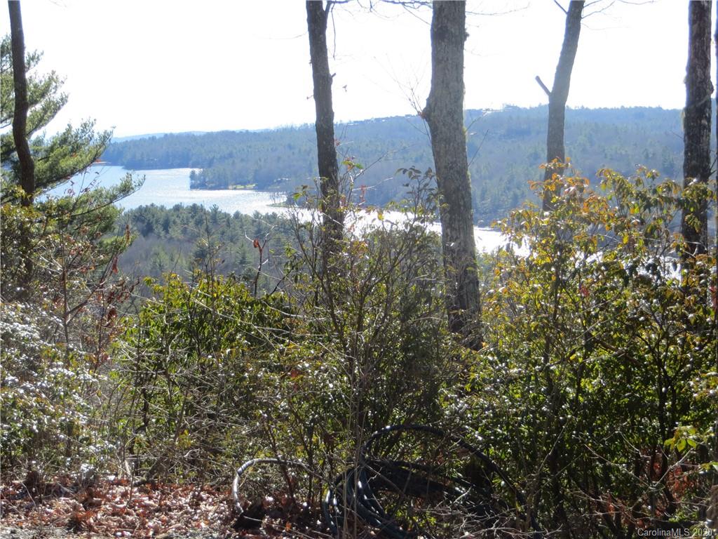 Lot 17 Panther Ridge Road, Unit PR17 Lake Toxaway, NC 28747 - Photo 5 of 35 Gallery Image 5