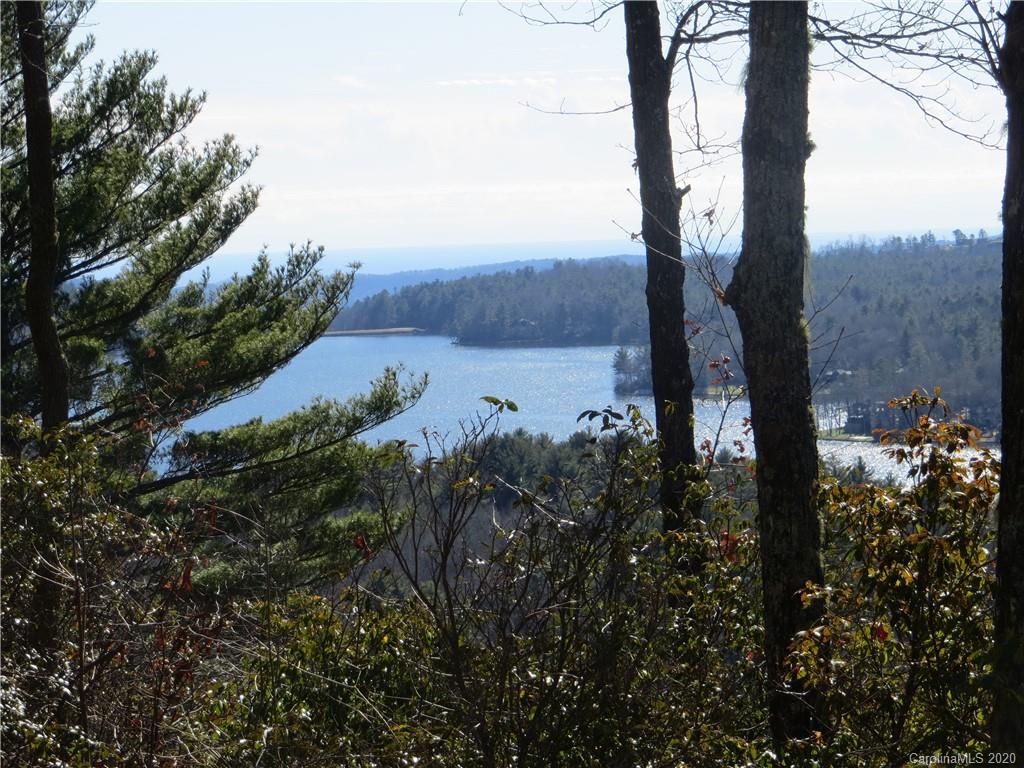 Lot 17 Panther Ridge Road, Unit PR17 Lake Toxaway, NC 28747 - Photo 7 of 35 Gallery Image 7