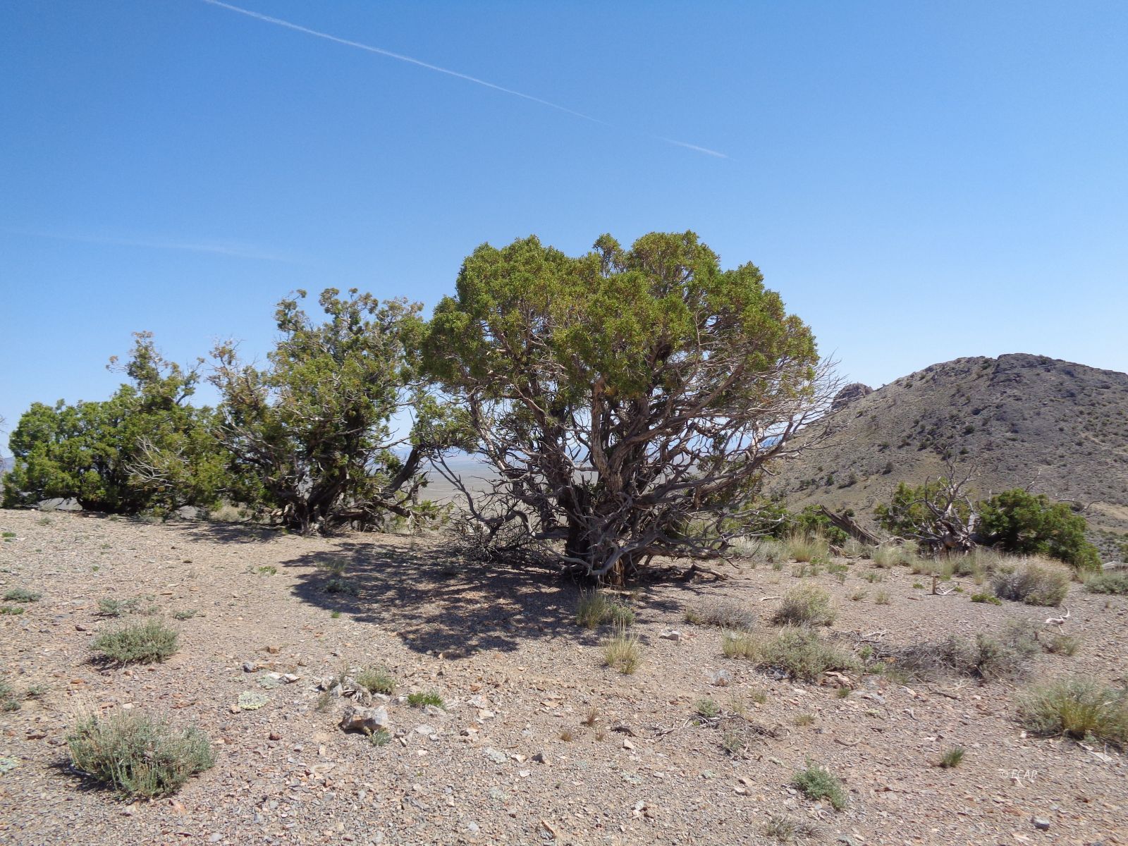 S35 10-35p-044 T38n R68e Montello, NV 89830 - Photo 19 of 20