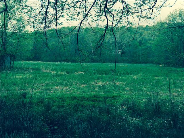 314 Taylor Chapel Road Dover, TN 37058 - Photo 1 of 12 Fields of for horses!1