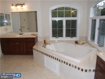 229 North Highland Road Springfield, PA 19064 - Photo 8 of 9 Bathroom