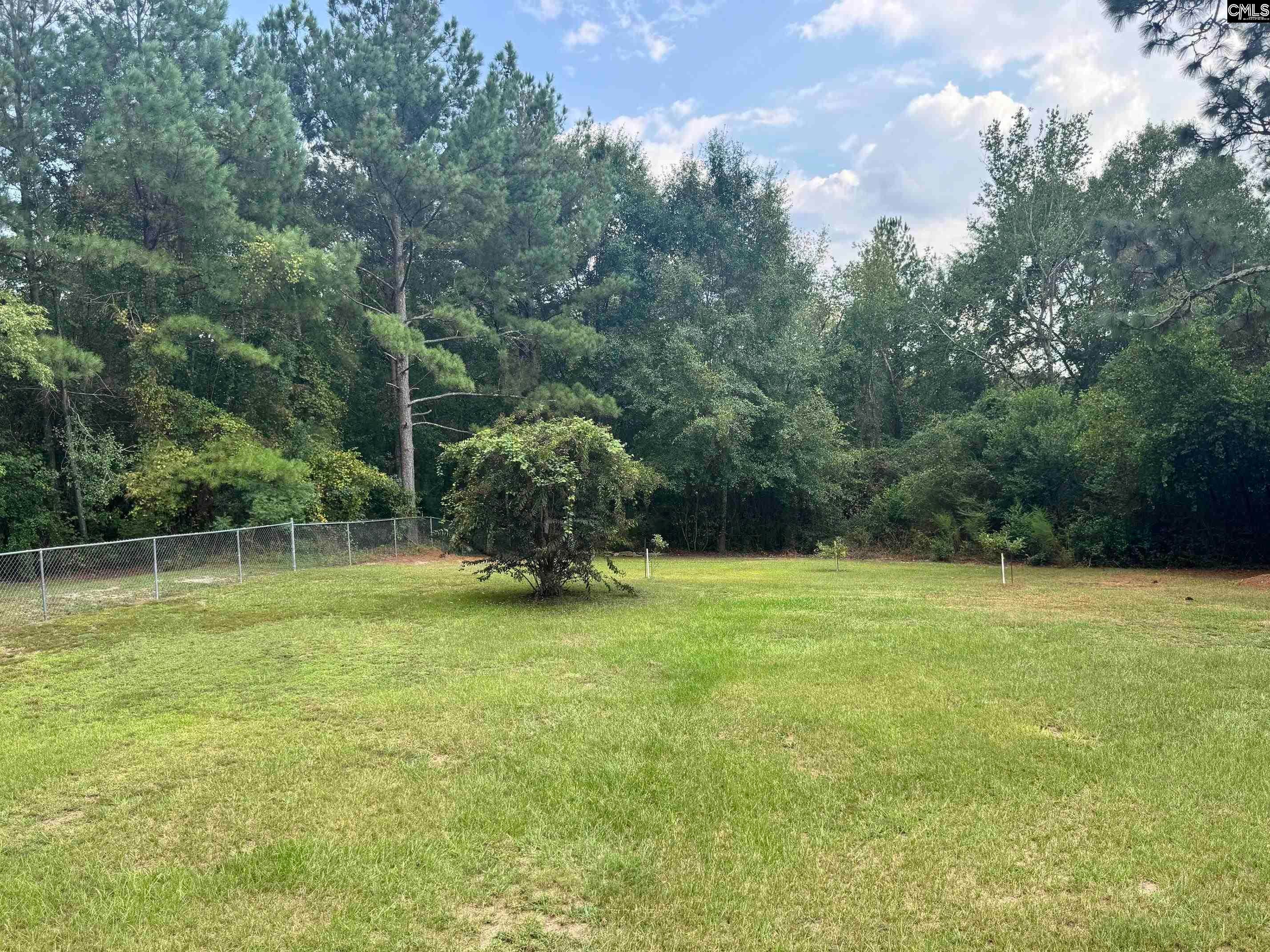 363 Camp Branch Road Leesville, SC 29070 - Photo 17 of 40 Gallery Image 17