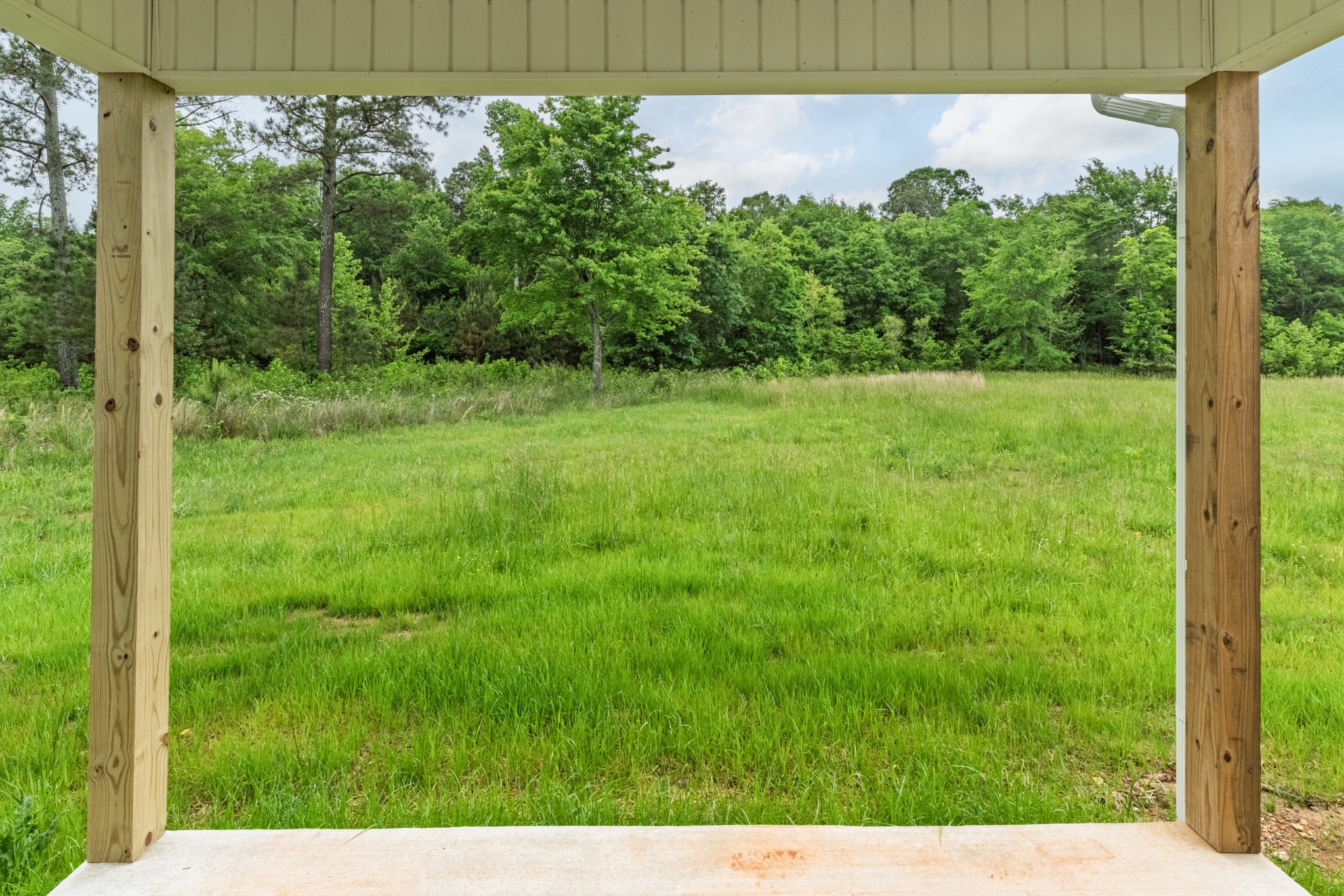 23101 Austin Whitt Road Ardmore, TN 38449 - Photo 7 of 35 a view of a yard with plants and a bench