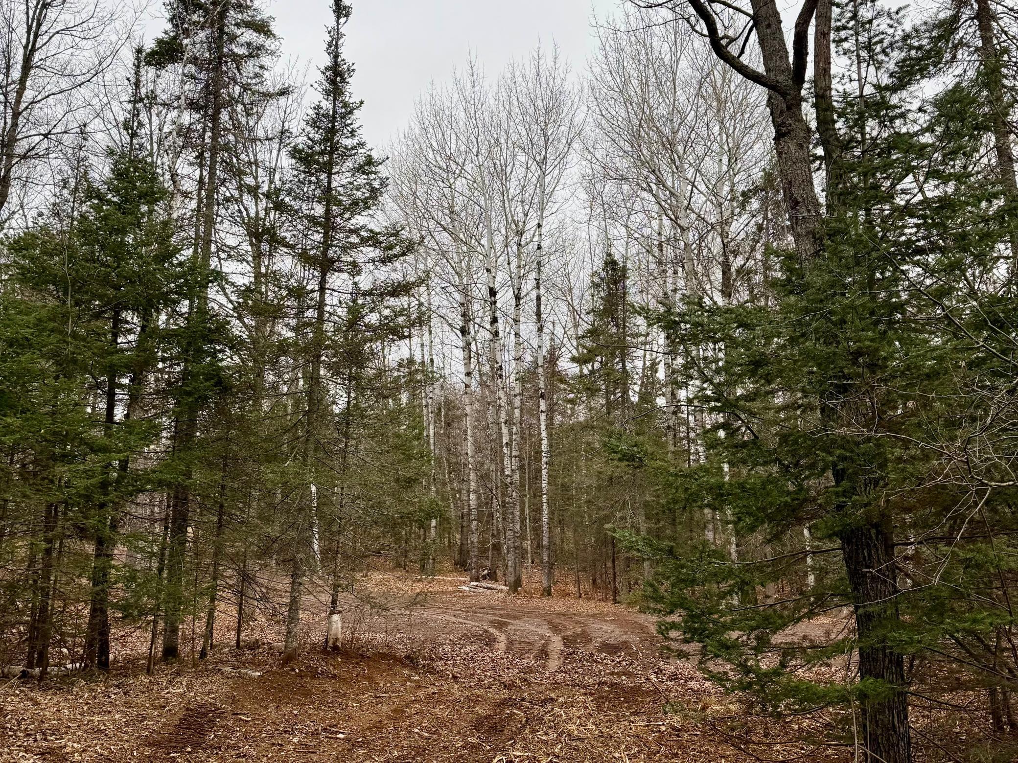 Tbd Arnold Road Duluth, MN 55803 - Photo 34 of 43