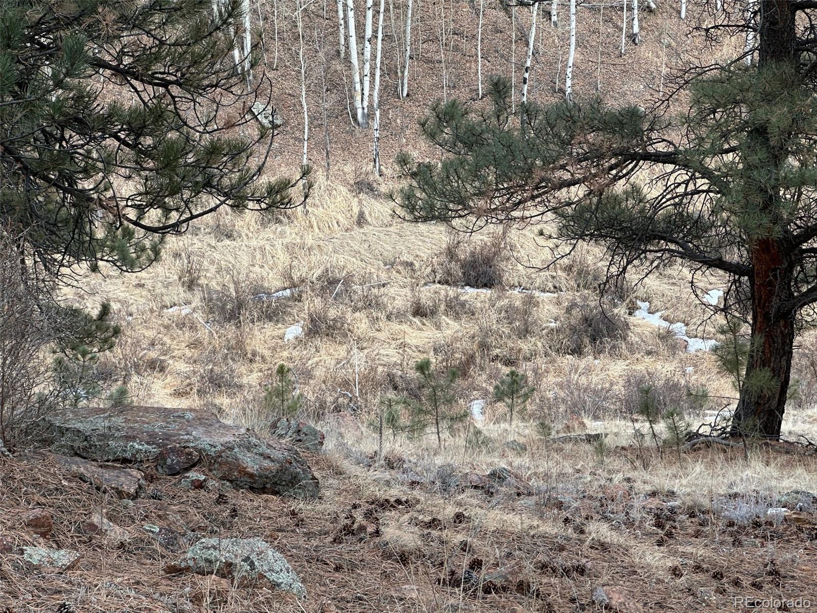 342-366 Brown Road Bailey, CO 80421 - Photo 11 of 16