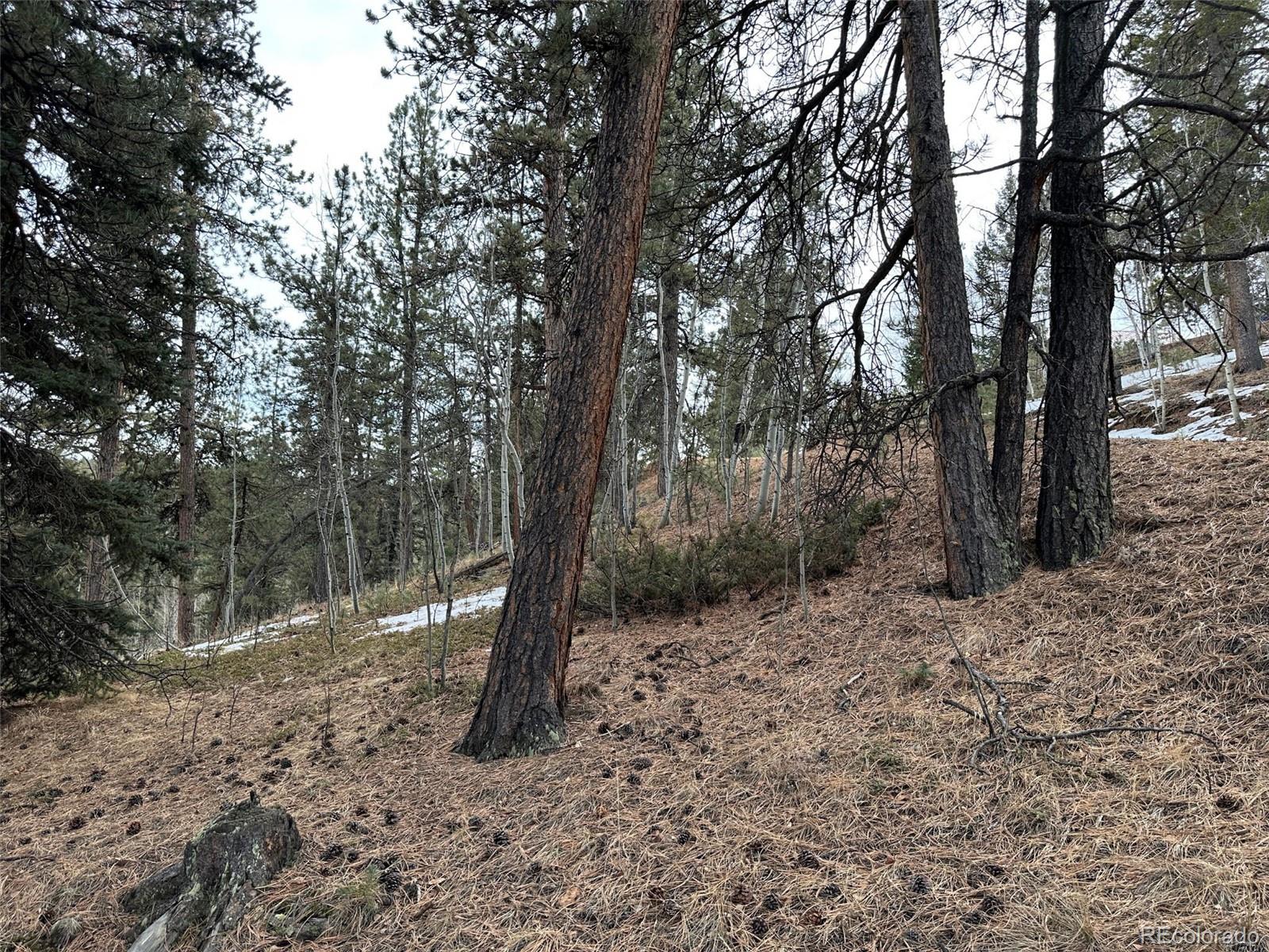 342-366 Brown Road Bailey, CO 80421 - Photo 12 of 16