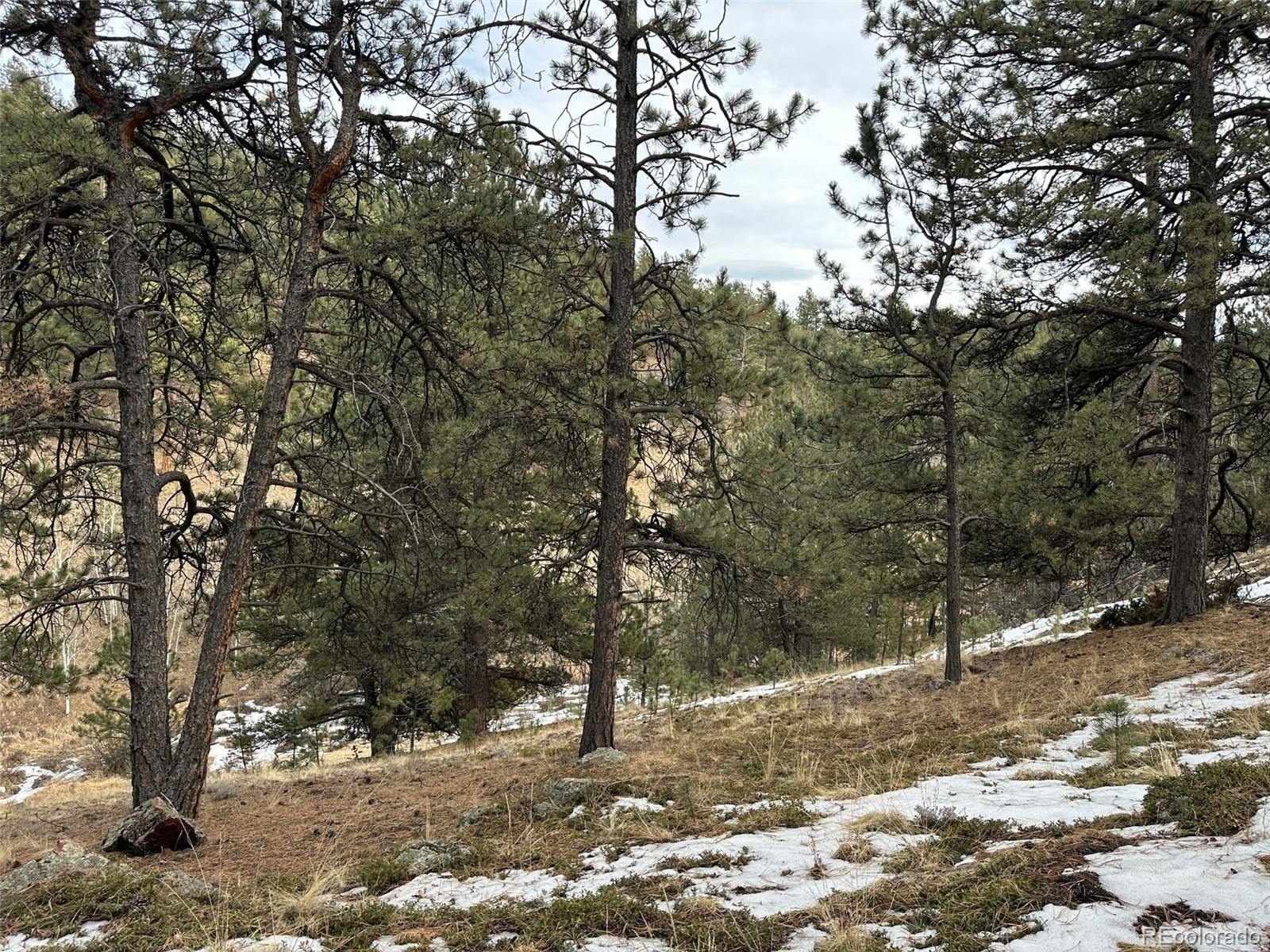 342-366 Brown Road Bailey, CO 80421 - Photo 13 of 16