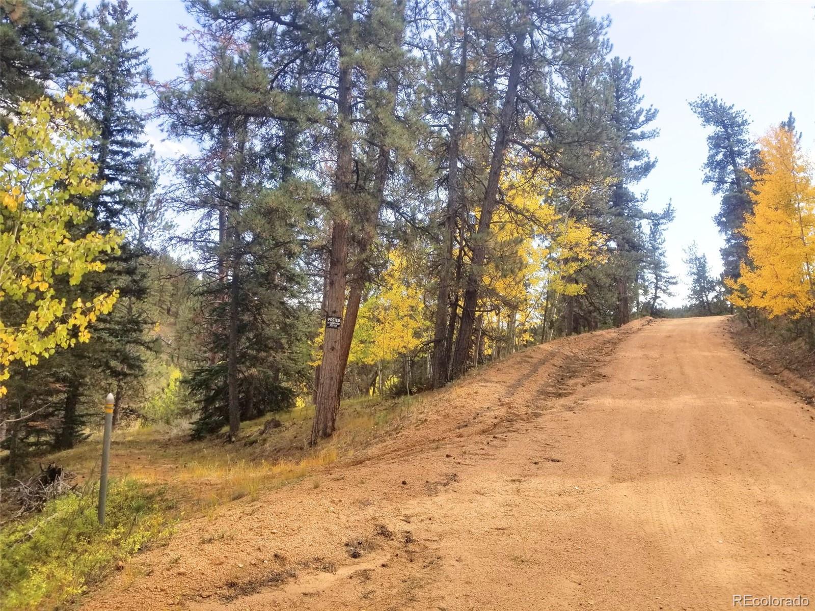 342-366 Brown Road Bailey, CO 80421 - Photo 3 of 16