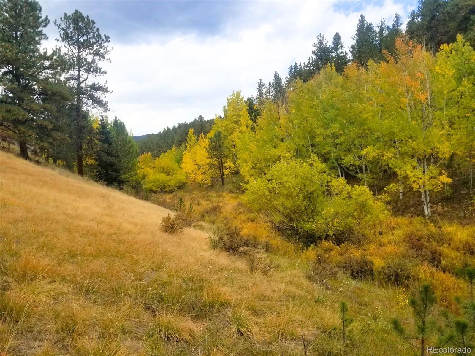 342-366 Brown Road Bailey, CO 80421 - Photo 4 of 16