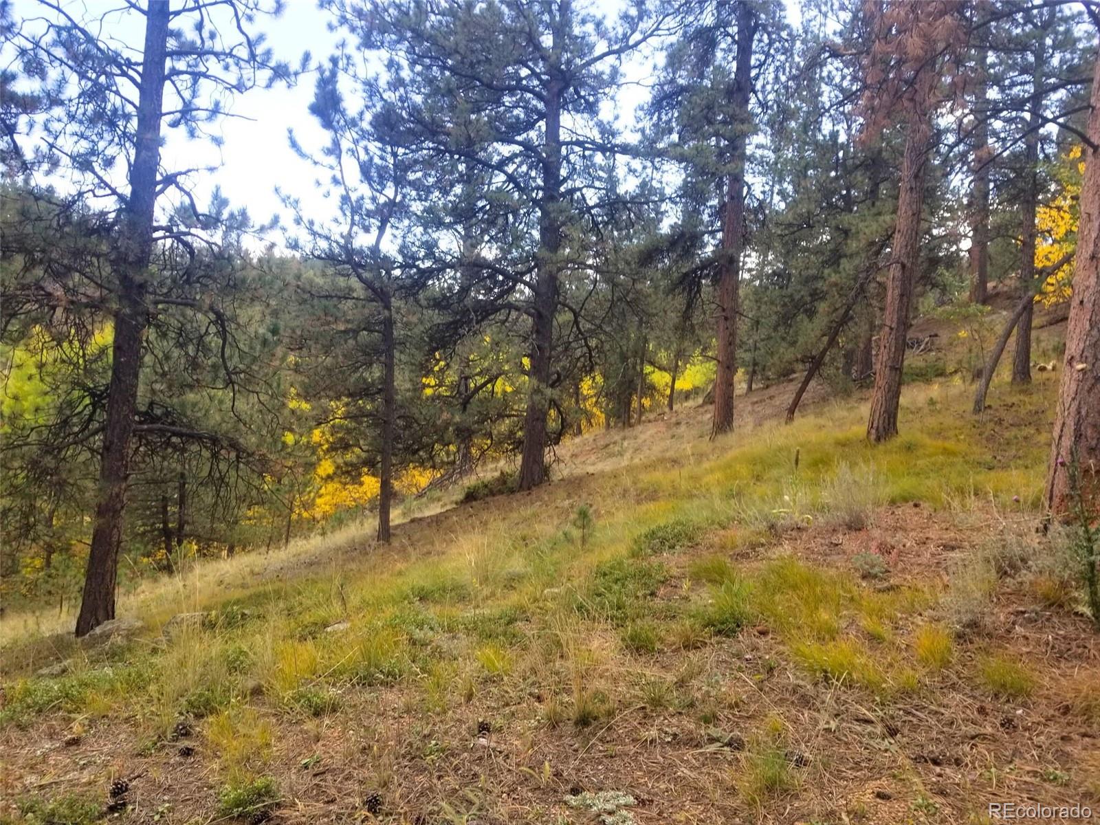 342-366 Brown Road Bailey, CO 80421 - Photo 5 of 16