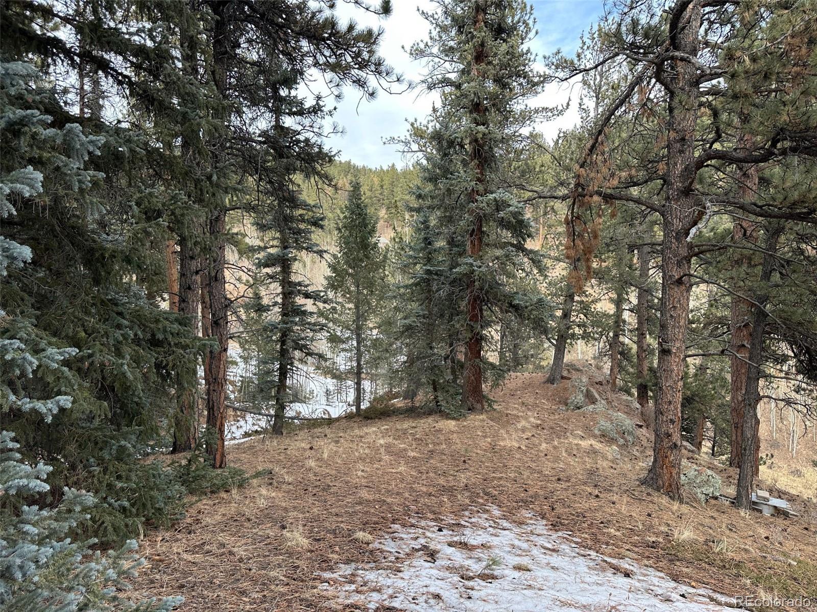342-366 Brown Road Bailey, CO 80421 - Photo 8 of 16