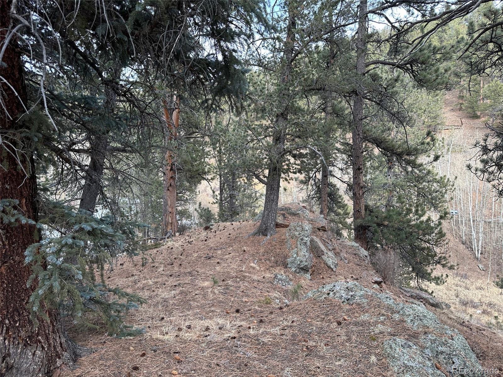 342-366 Brown Road Bailey, CO 80421 - Photo 10 of 16
