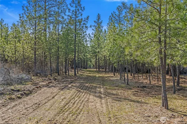 $489,900 | 38800 Sand Flats Drive East, Davenport, WA 99122