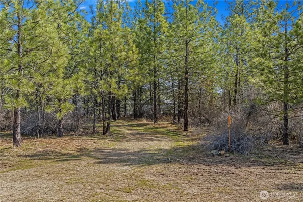 $489,900 | 38800 Sand Flats Drive East, Davenport, WA 99122