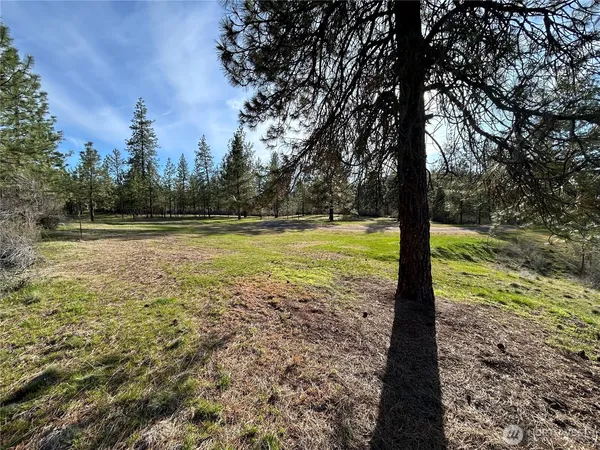 $489,900 | 38800 Sand Flats Drive East, Davenport, WA 99122