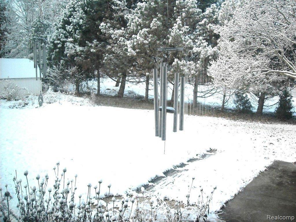 8756 33 Mile Road Romeo, MI 48065 - Photo 3 of 11 yard winter (2).JPG