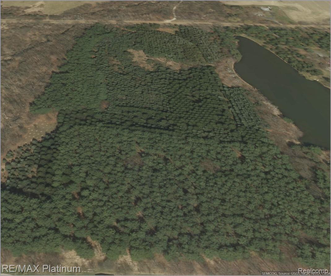 20 Ac V/l Curdy Road Howell, MI 48855 - Photo 8 of 11 looking n over curdy 20.jpg