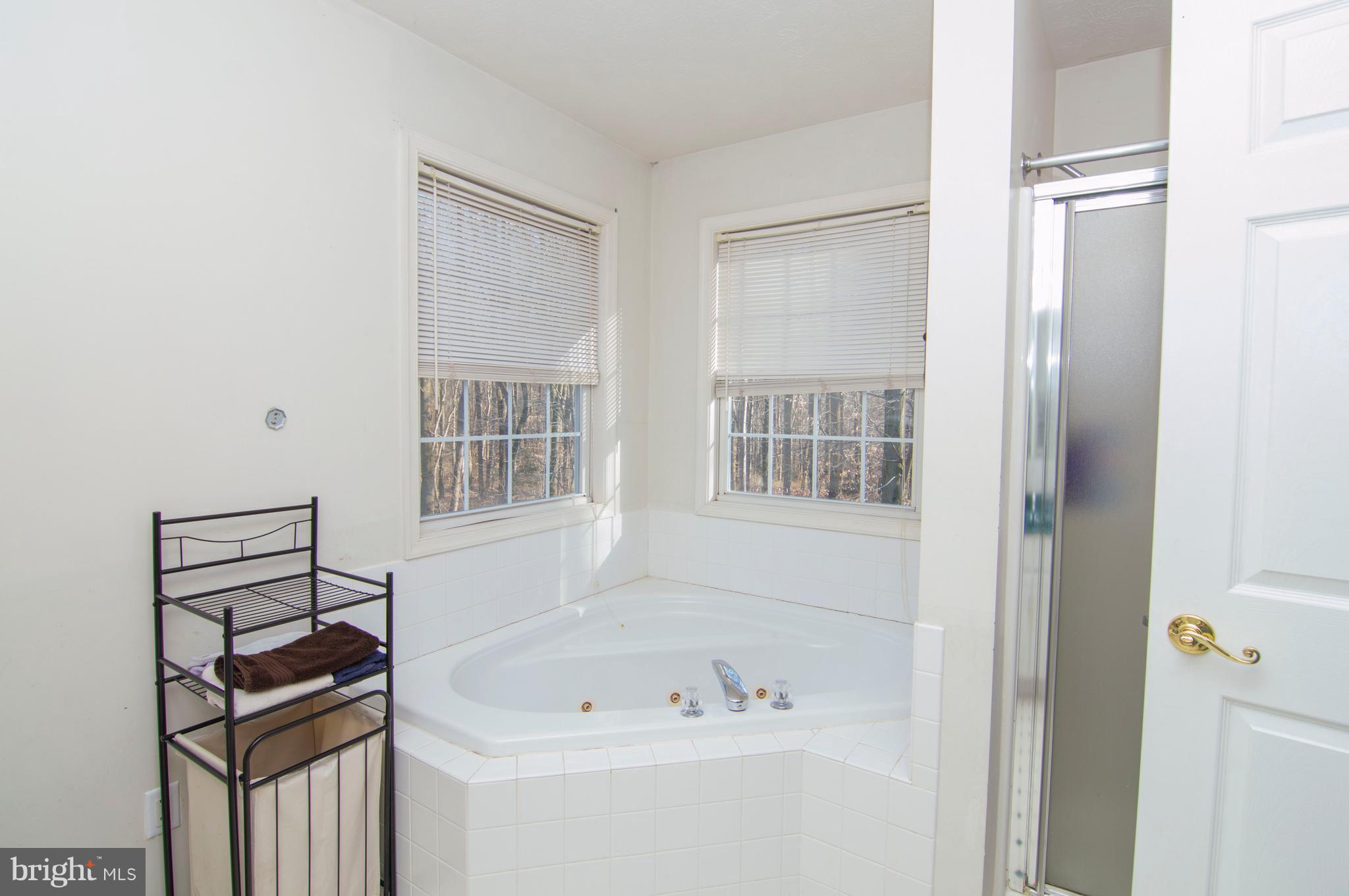 230 Ebenezer Church Road Rising Sun, MD 21911 - Photo 18 of 22 Bath (Master)