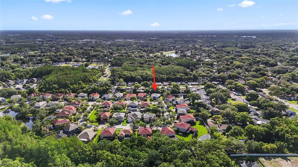 12833 Darby Ridge Drive Tampa, FL 33624 - Photo 19 of 33 an aerial view of multiple house