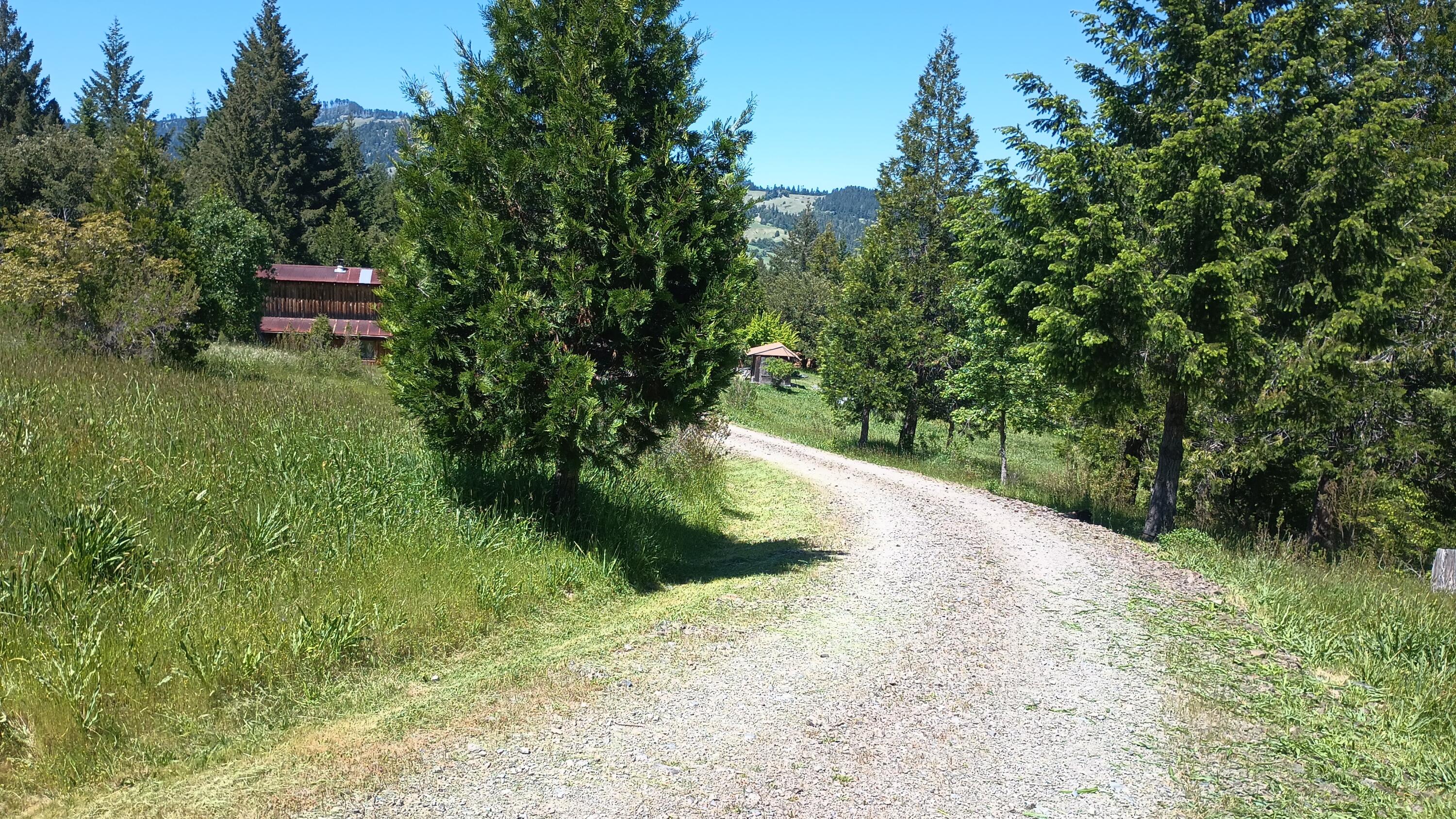 3951 Upper Thomas Early Ranch Road Miranda, CA 95553 - Photo 57 of 57