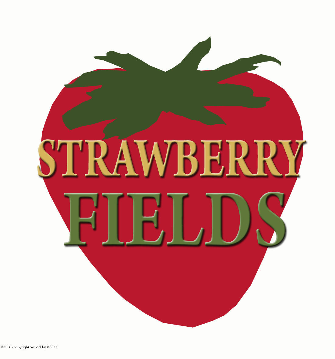 9701 Help Lane Amarillo, TX 79119 - Photo 1 of 9 STRAWBERRY FIELDS-STRAWBERRY ONLY