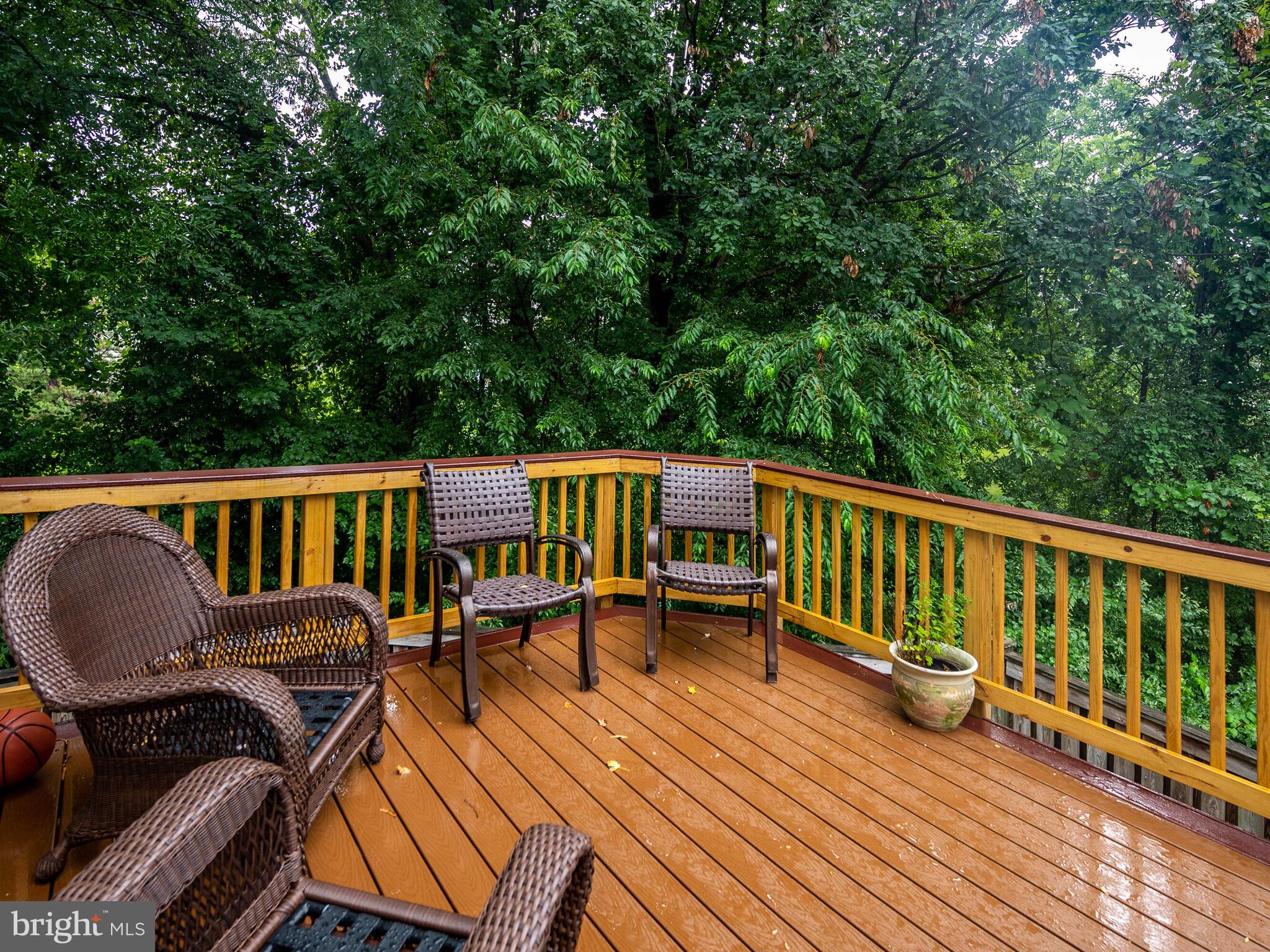 3907 Valley Ridge Drive Fairfax, VA 22033 - Photo 6 of 57