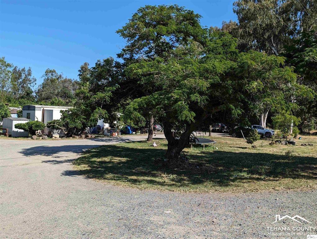 22519 Olivewood Road Corning, CA 96021 - Photo 4 of 4
