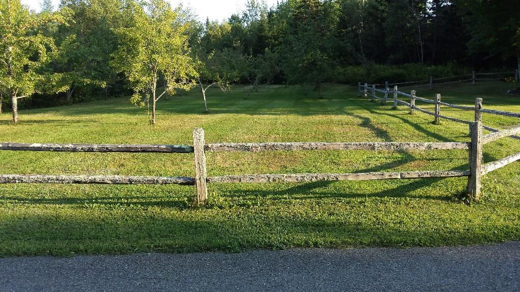 170 Kelleytown Road Bernard, ME 04612 - Photo 7 of 33 A fenced-in apple, pear and plum...