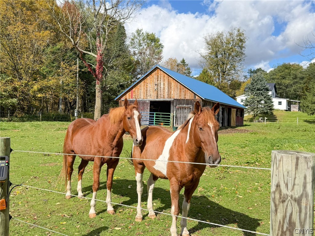 10076 Dingle Road Camden, NY 13316 - Photo 50 of 50 Gallery Image 50
