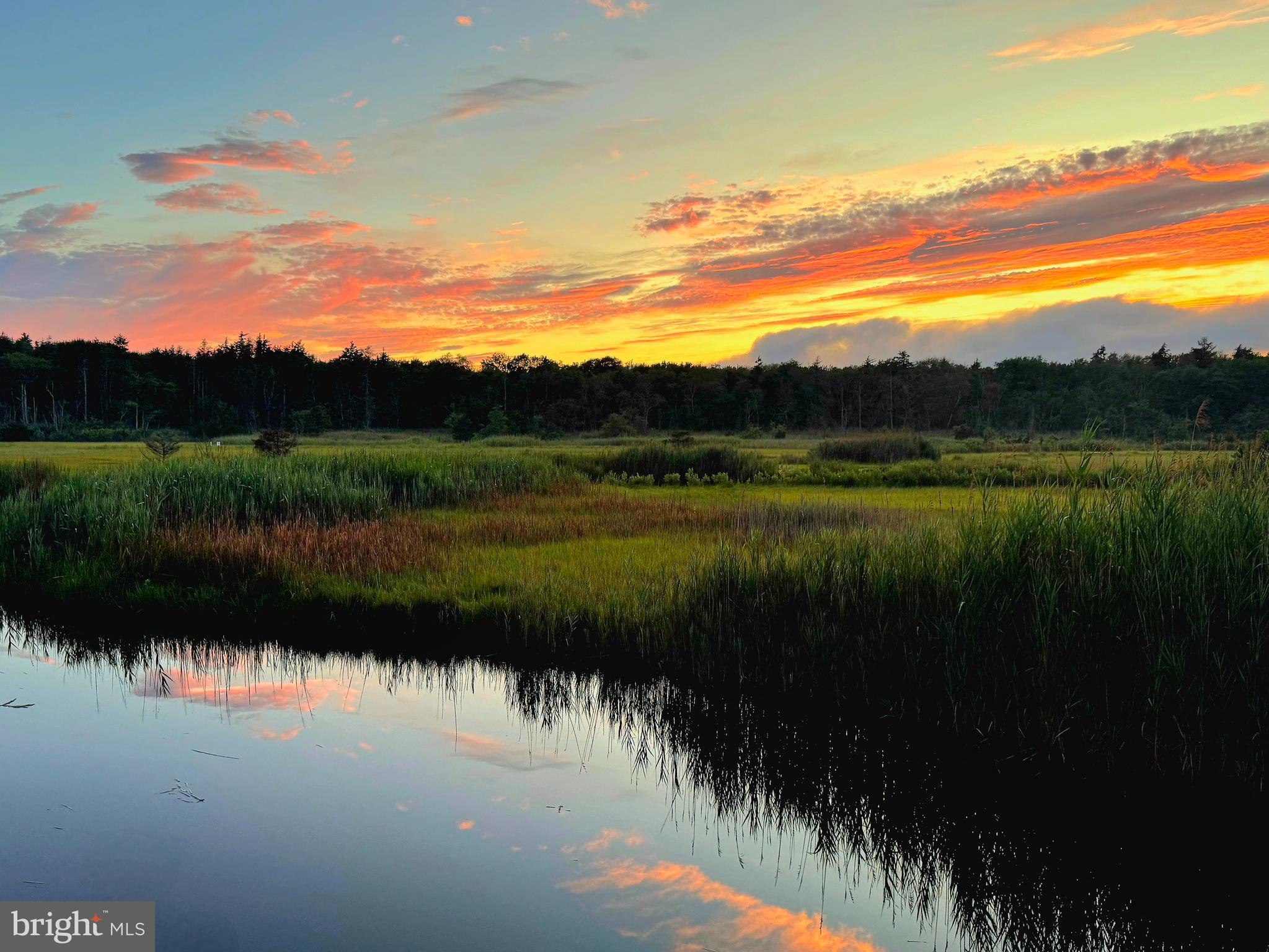 637 Cedar Run Dock Road West Creek, NJ 08092 - Photo 48 of 50 a view of lake with a lake