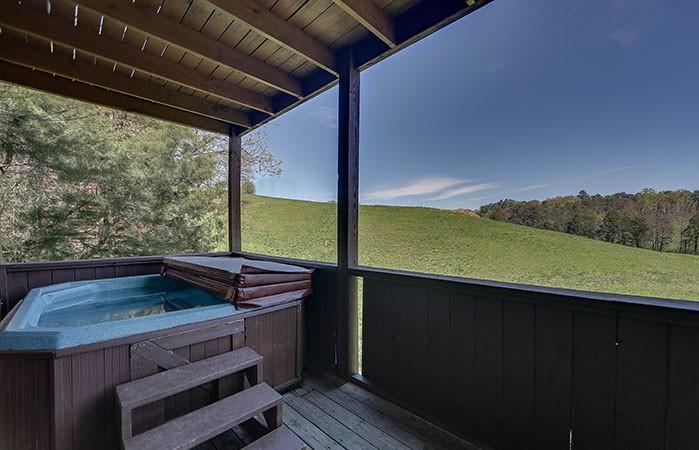 1520 Rainbow Ridge Way Sevierville, TN 37862 - Photo 3 of 31 hottub