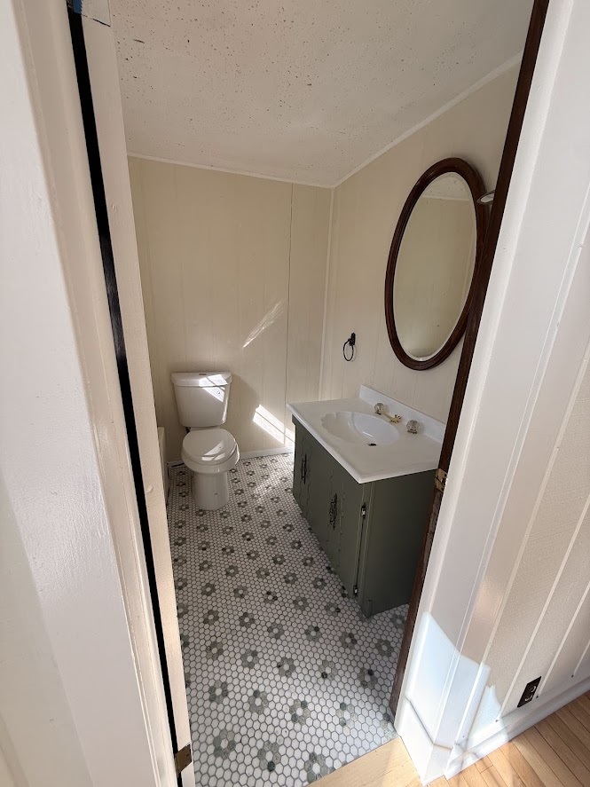 18404 Dixie Highway Homewood, IL 60430 - Photo 9 of 20 a bathroom with a sink a toilet and a mirror