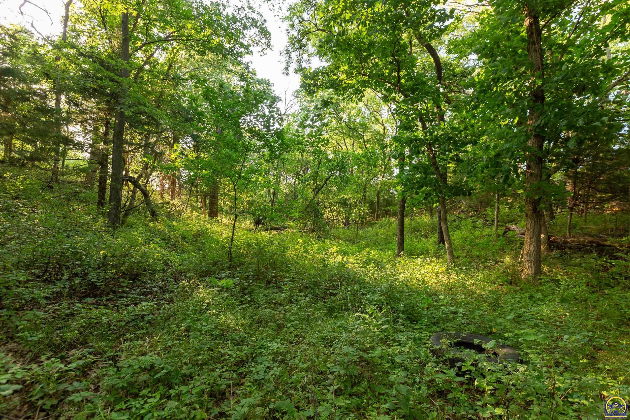 0 154 Road Mayetta, KS 66509 - Photo 27 of 65