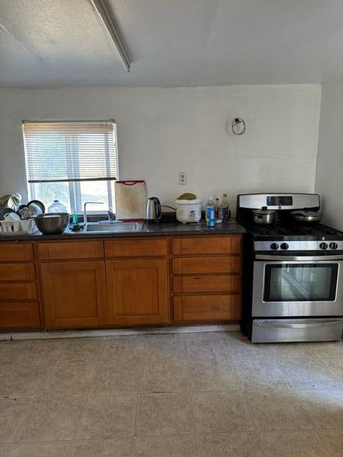367 West Lathrop Road Lathrop, CA 95330 - Photo 4 of 17 Gallery Image 4