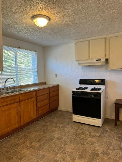367 West Lathrop Road Lathrop, CA 95330 - Photo 8 of 17 Gallery Image 8
