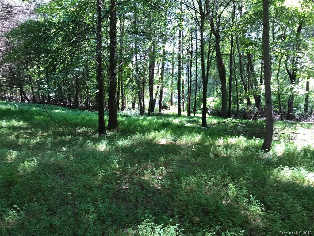 2216 Grey Road, Unit 1 Davidson, NC 28036 - Photo 1 of 2 Gallery Image 1