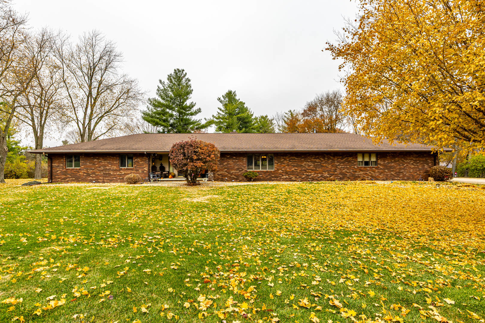a front view of house with a garden