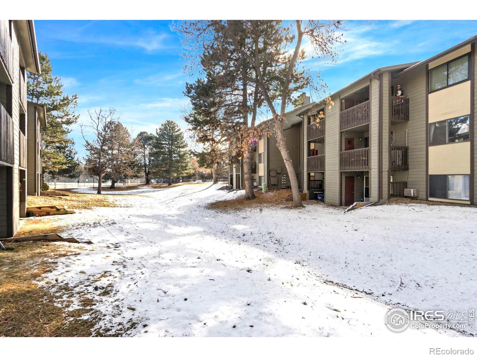 925 Columbia Road Fort Collins, CO 80525 - Photo 22 of 24 a view of a backyard of the house