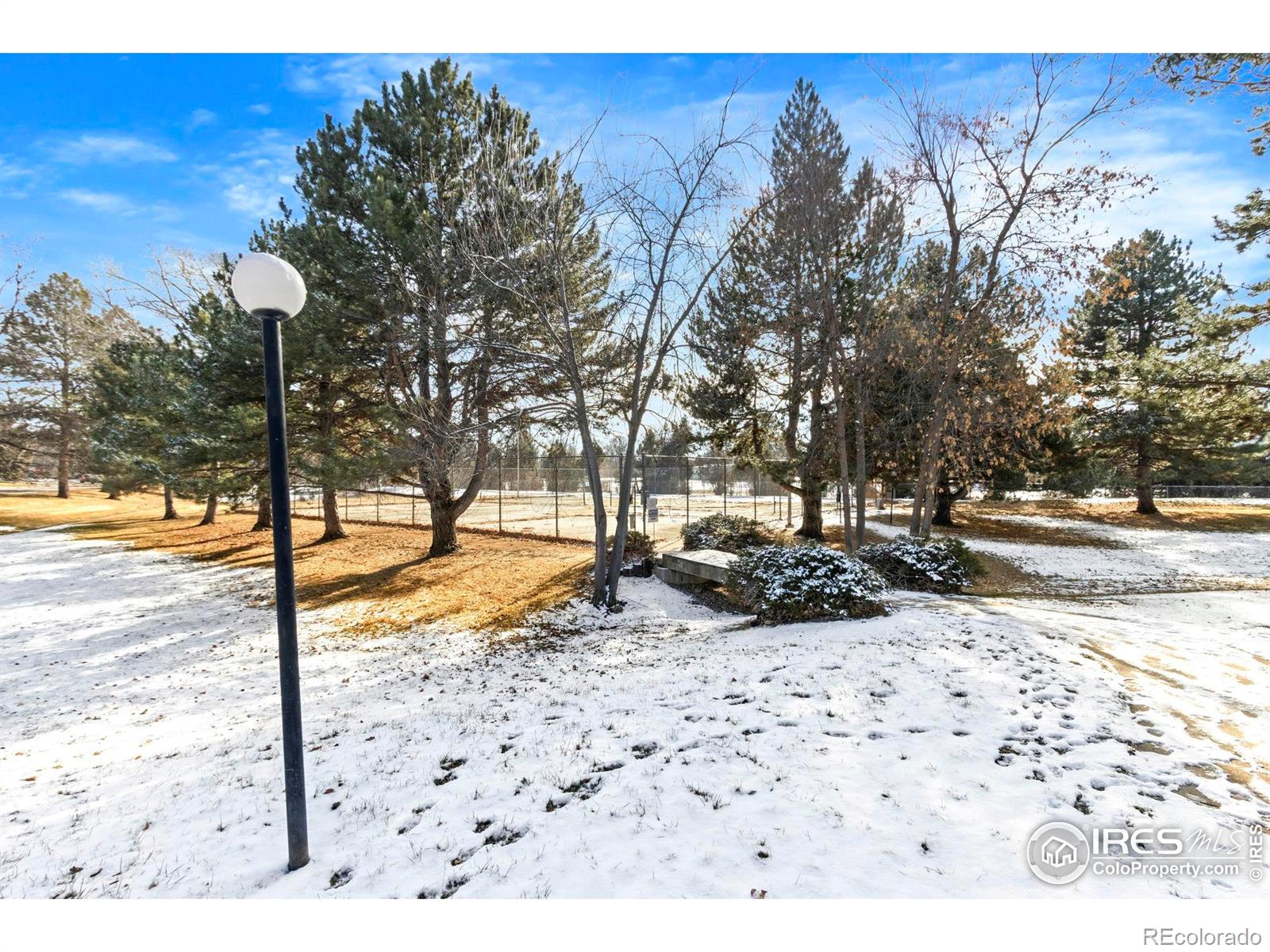 925 Columbia Road Fort Collins, CO 80525 - Photo 23 of 24 a view of a park with trees