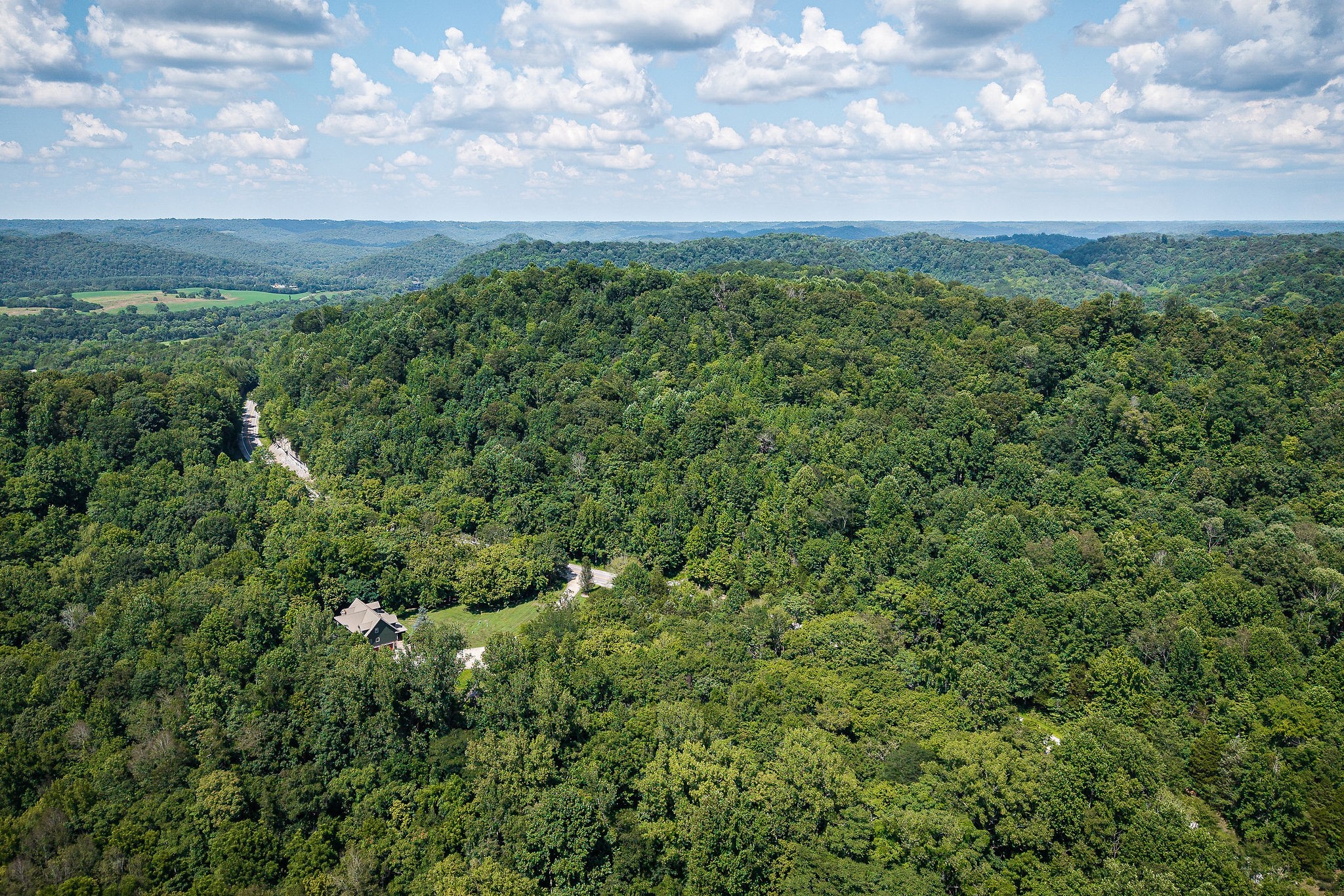 0 Buffalo Valley Road Buffalo Valley, TN 38548 - Photo 11 of 22 a view of a bunch of trees