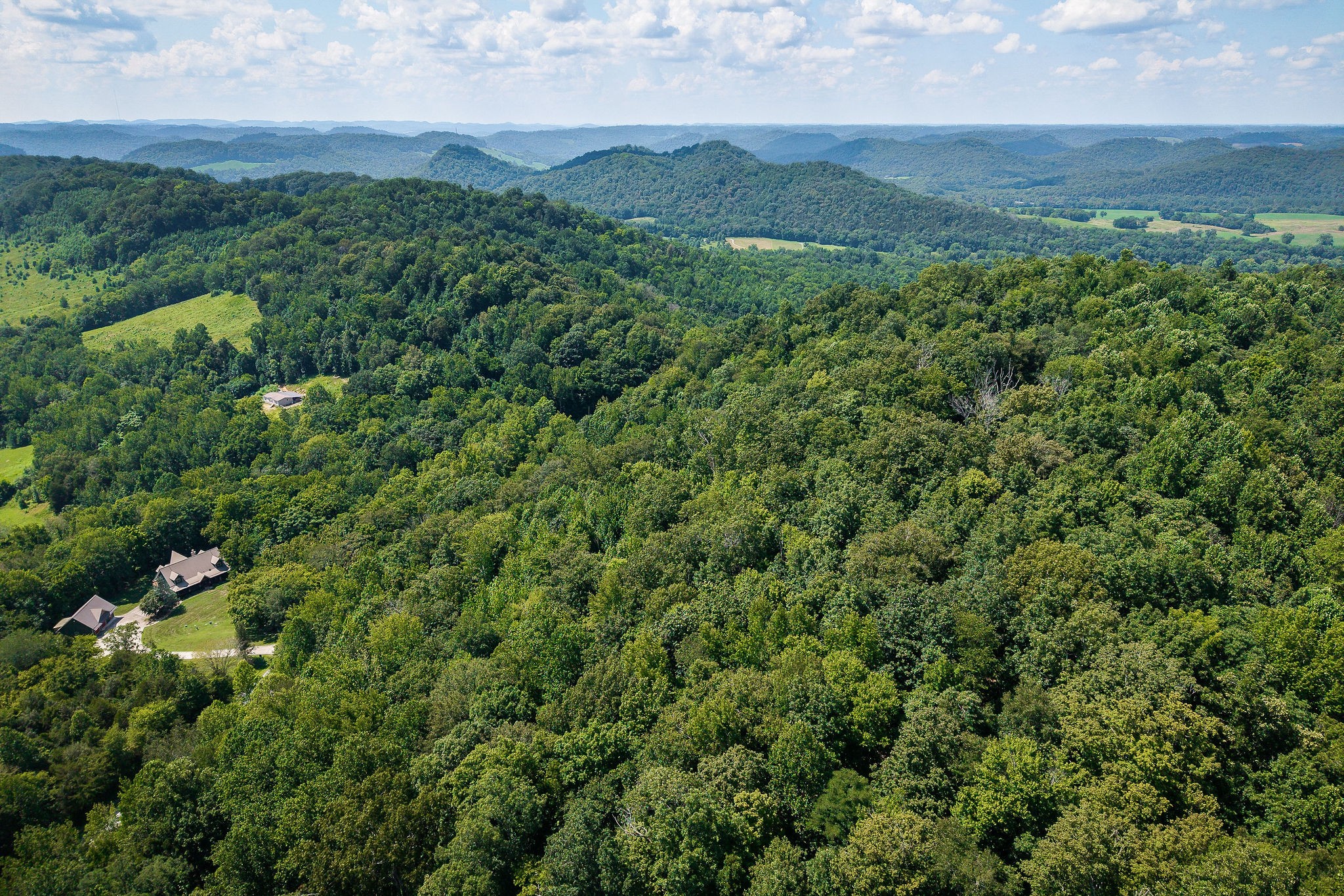 0 Buffalo Valley Road Buffalo Valley, TN 38548 - Photo 13 of 22 a view of a lush green forest with a house