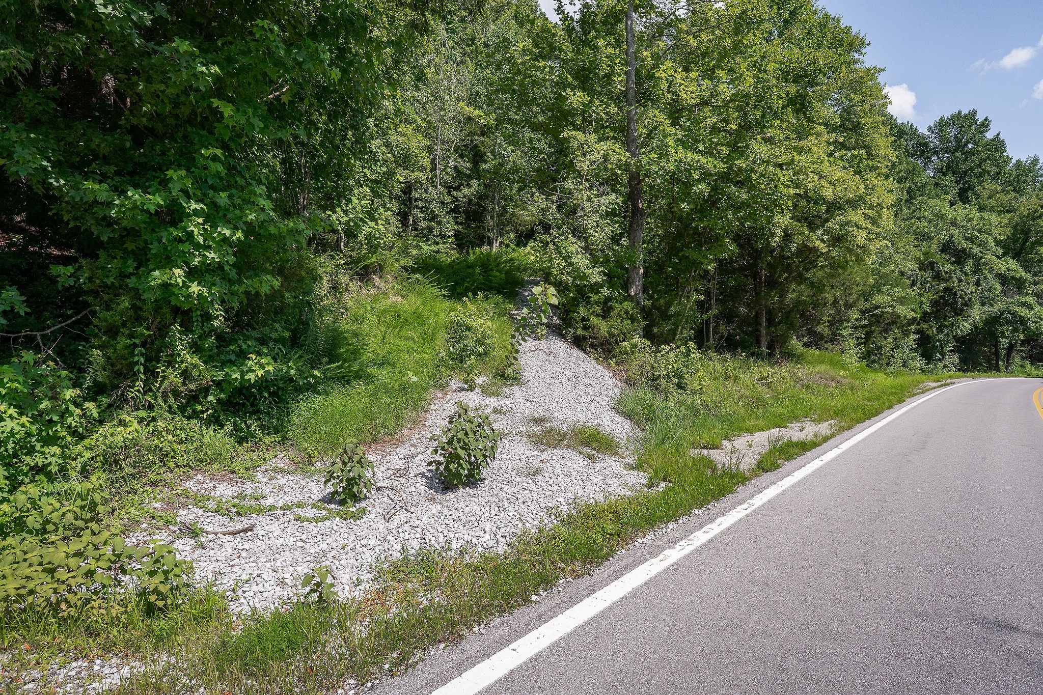 0 Buffalo Valley Road Buffalo Valley, TN 38548 - Photo 18 of 22 a view of a garden with a pathway