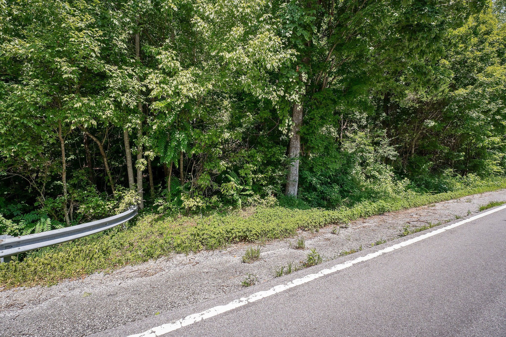 0 Buffalo Valley Road Buffalo Valley, TN 38548 - Photo 19 of 22 a view of a garden with a bench in a yard