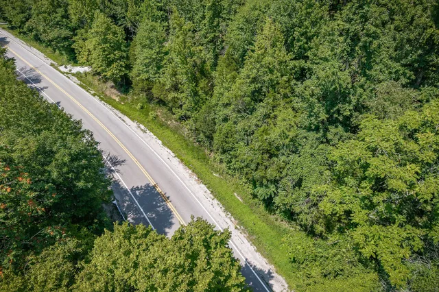 a view of a garden from a balcony