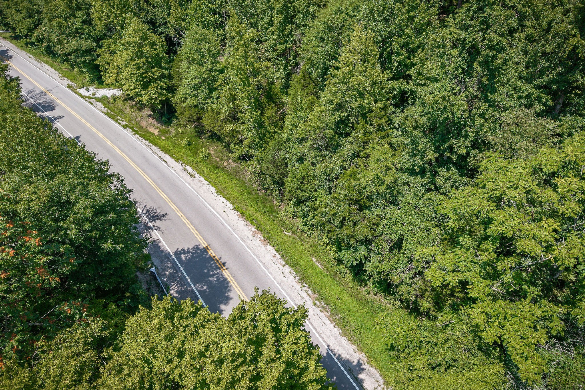 0 Buffalo Valley Road Buffalo Valley, TN 38548 - Photo 2 of 22 a view of a garden from a balcony