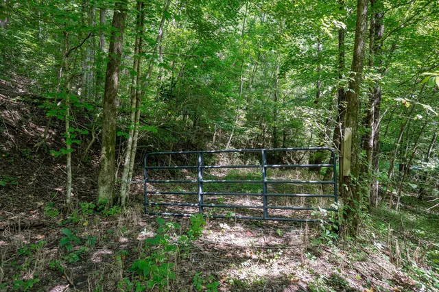 $79,000 | 0 Buffalo Valley Road, Buffalo Valley, TN 38548