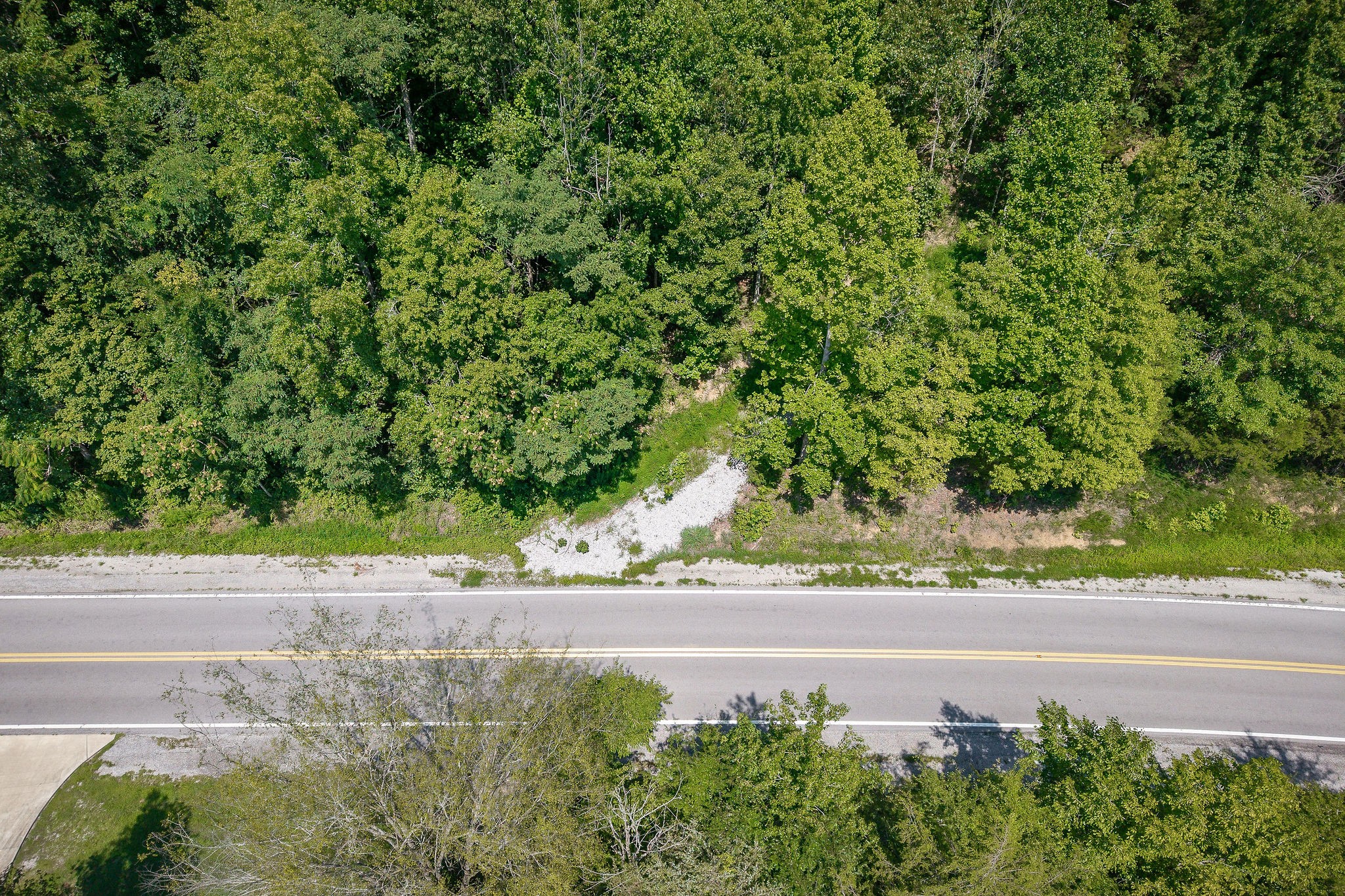 0 Buffalo Valley Road Buffalo Valley, TN 38548 - Photo 3 of 22