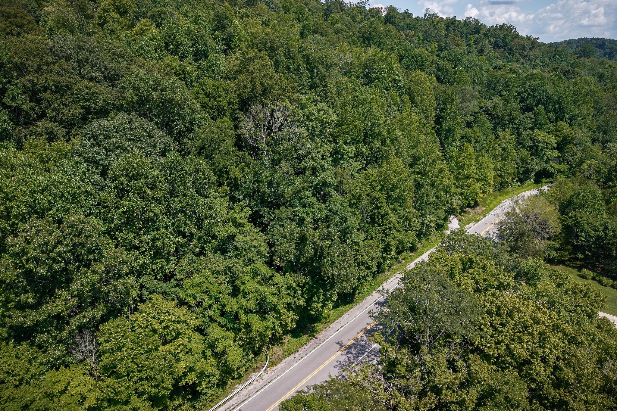 0 Buffalo Valley Road Buffalo Valley, TN 38548 - Photo 4 of 22 a view of a lush green forest